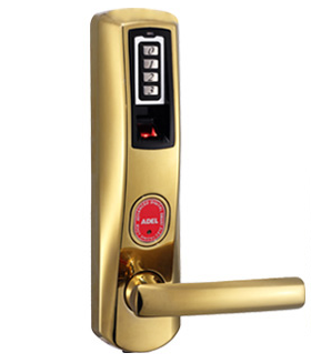 ADEL US3-8908-Gold